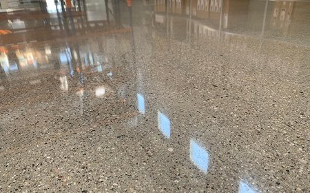 teste surpresa: almofadas de mármore mshine polindo pisos de concreto